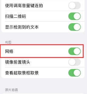 临江苹果手机维修网点分享iPhone如何开启九宫格构图功能 