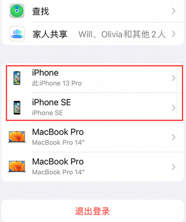 临江苹临江果维修网点分享iPhone如何查询序列号