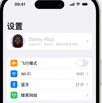 临江appleID维修服务iPhone设置中Apple ID显示为灰色无法使用