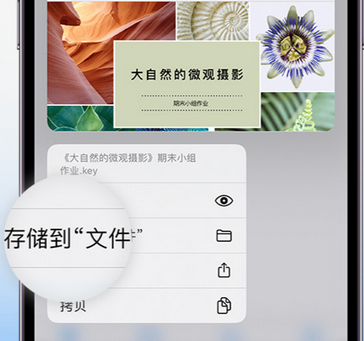 临江apple维修中心分享iPhone文件应用中存储和找到下载文件