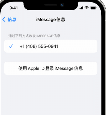 临江apple维修iPhone上无法正常发送iMessage信息 