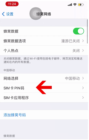 临江苹果14维修网分享如何给iPhone14的SIM卡设置密码 