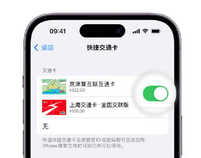 临江apple维修点分享iPhone上更换Apple Pay快捷交通卡手绘卡面 