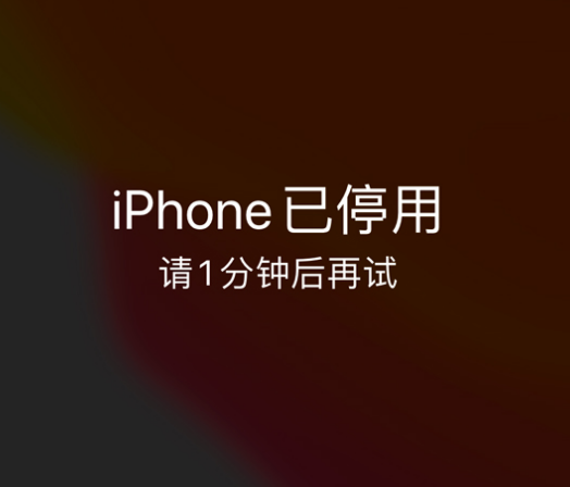 临江苹果手机维修分享:iPhone 显示“不可用”或“已停用”怎么办？还能保留数据吗？ 