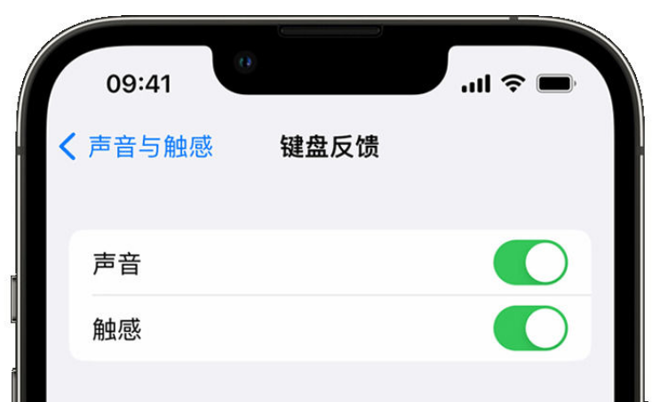 临江苹果手机维修分享iPhone 14触感键盘使用方法 