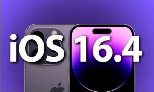 临江苹果14维修分享：iPhone14可以升级iOS16.4beta2吗？ 