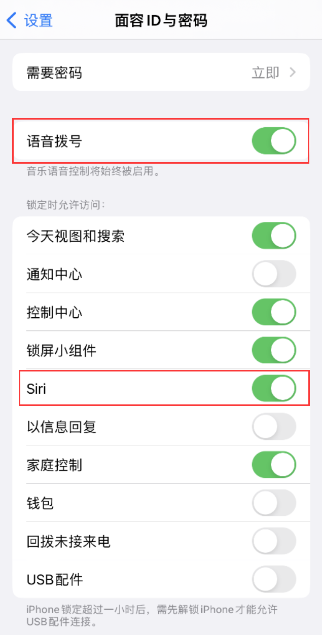 临江苹果维修网点分享不解锁 iPhone 的情况下通过 Siri 拨打电话的方法 