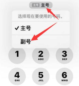 临江苹果14维修店分享iPhone 14 Pro Max使用副卡打电话的方法 