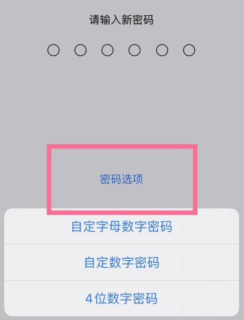 临江苹果14维修分享iPhone 14plus设置密码的方法 