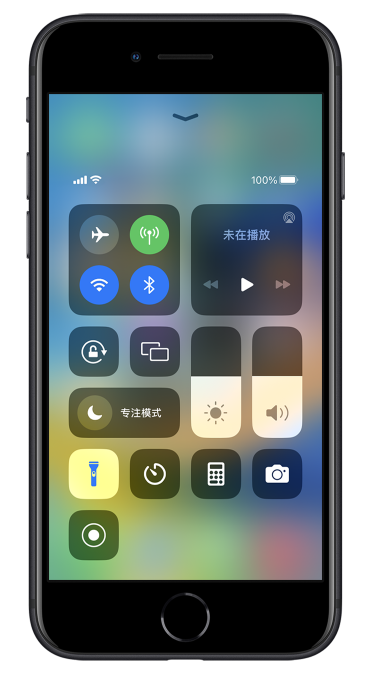 临江苹果14维修分享苹果iPhone 14 Pro手电筒开启方法 