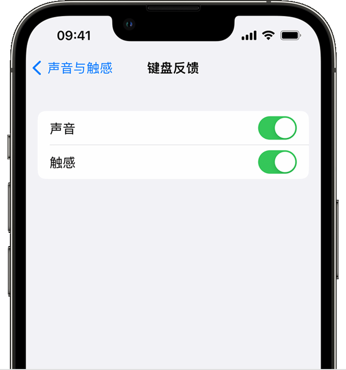 临江苹果14维修分享iPhone 14 系列机型如何开启键盘声音或触感反馈 