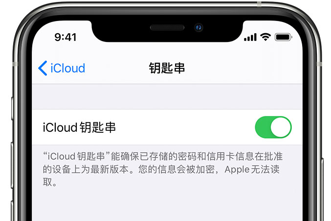 临江苹果手机维修分享在 iPhone 上开启 iCloud 钥匙串之后会储存哪些信息 