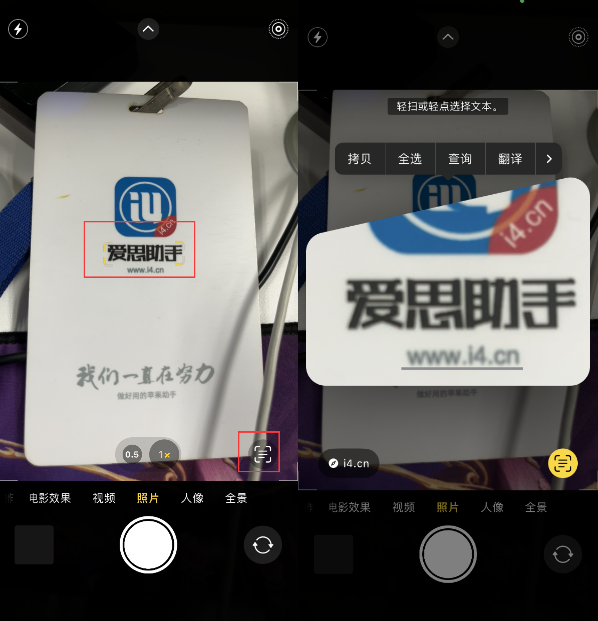 临江苹果手机维修分享升级iOS 16后如何通过相机翻译文本 