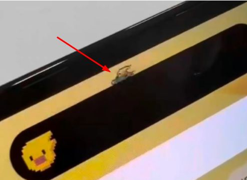 临江苹果14维修分享iPhone 14 Pro Max灵动岛怎么养宠物 