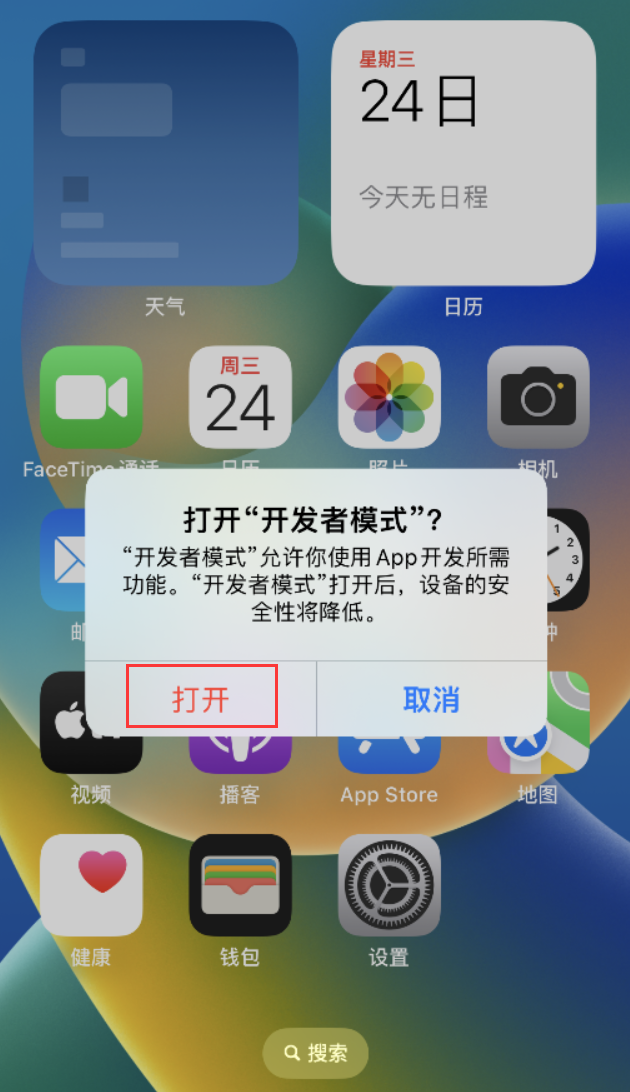 临江苹果手机维修分享如何打开开发者模式 