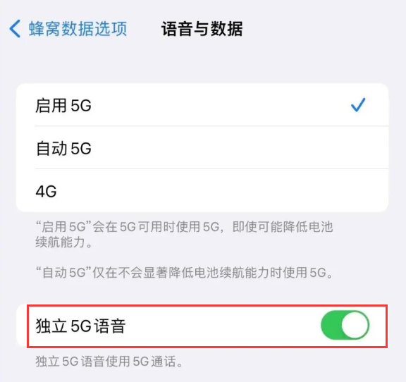 临江苹果14维修分享iPhone 14 Pro如何开启VoNR 