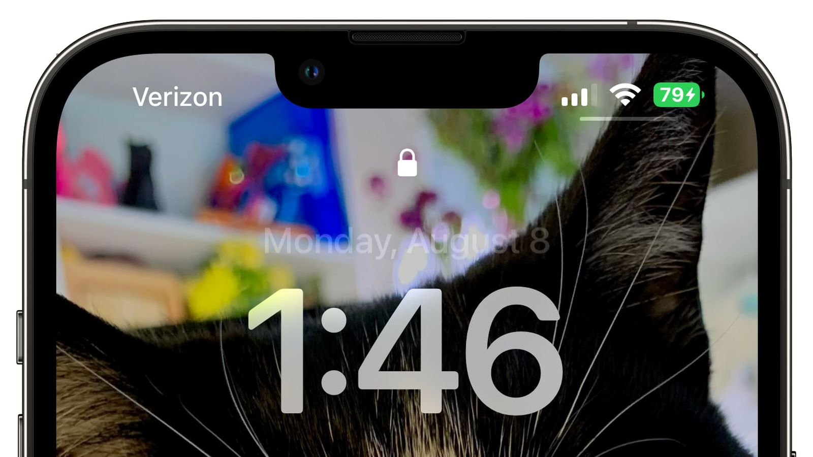 临江苹果手机维修分享iOS 16 beta 5 支持状态栏显示电池百分比，如何开启？支持哪些机型 