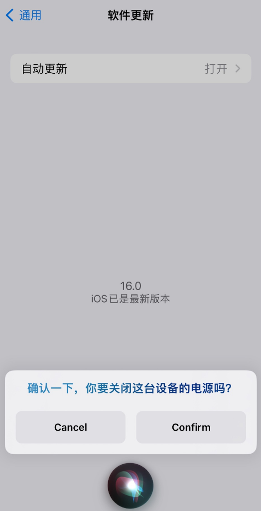 临江苹果手机维修分享iOS 16 新功能：呼叫 Siri 即可让 iPhone 关机 