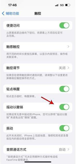 临江苹果手机维修分享iPhone手机如何设置摇一摇删除文字 