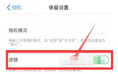 临江苹果13维修分享iPhone13拍照有绿点是怎么回事 